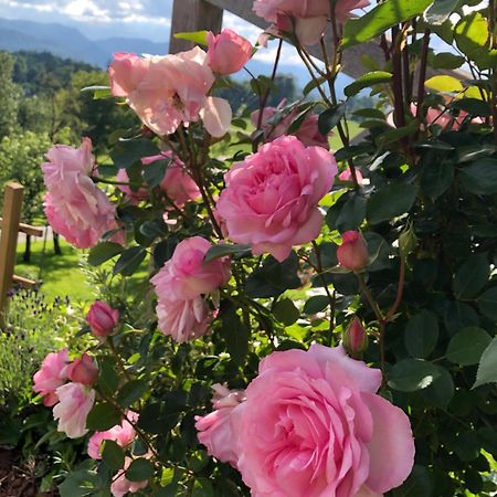 Apartma Rosa Spodnji Otok エクステリア 写真